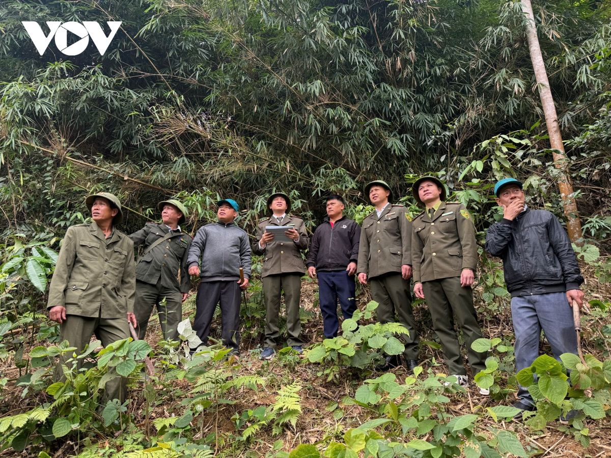 “Canh lửa” giữ rừng mùa hanh khô